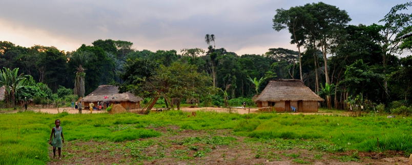 Bild Waldlandschaft hinter einem Dorf in Kongo